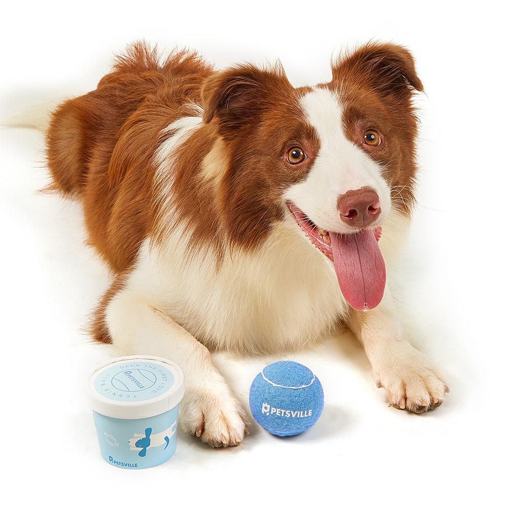 Interactive Tennis Dog Toy Set: Engage Your Pup In Outdoor Fun!