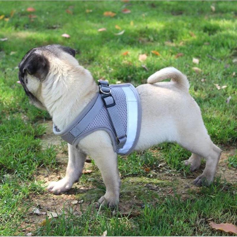 Reflective Airmesh Pet Harness: The Ultimate Comfort And Safety Solution For Your Furry Friend